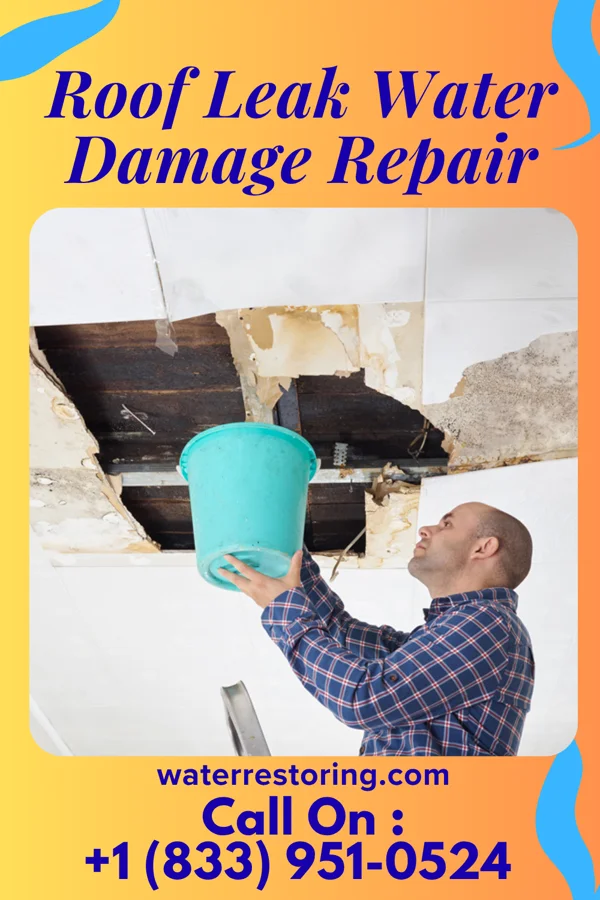 Roof Leak Water Damage Repair in Plainfield, WI